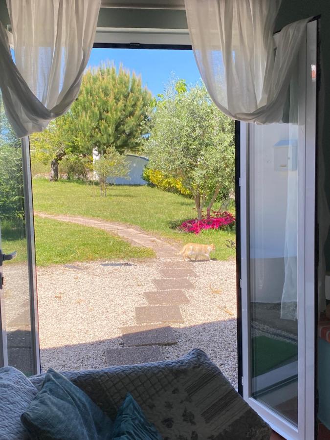Quinta de Cavaleiros A Quinta Da Estrelinha旅馆 外观 照片