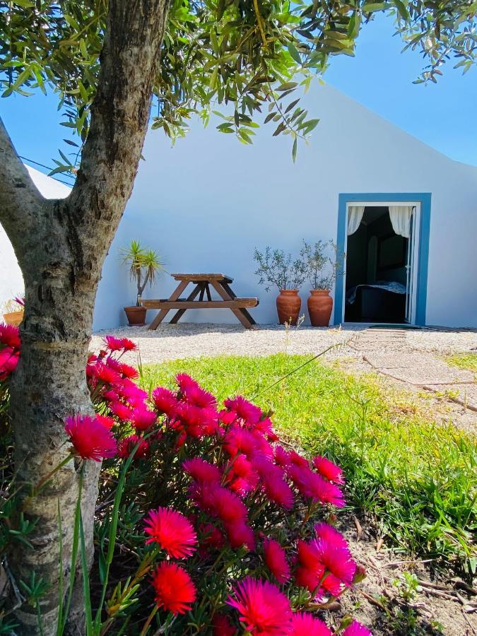 Quinta de Cavaleiros A Quinta Da Estrelinha旅馆 外观 照片