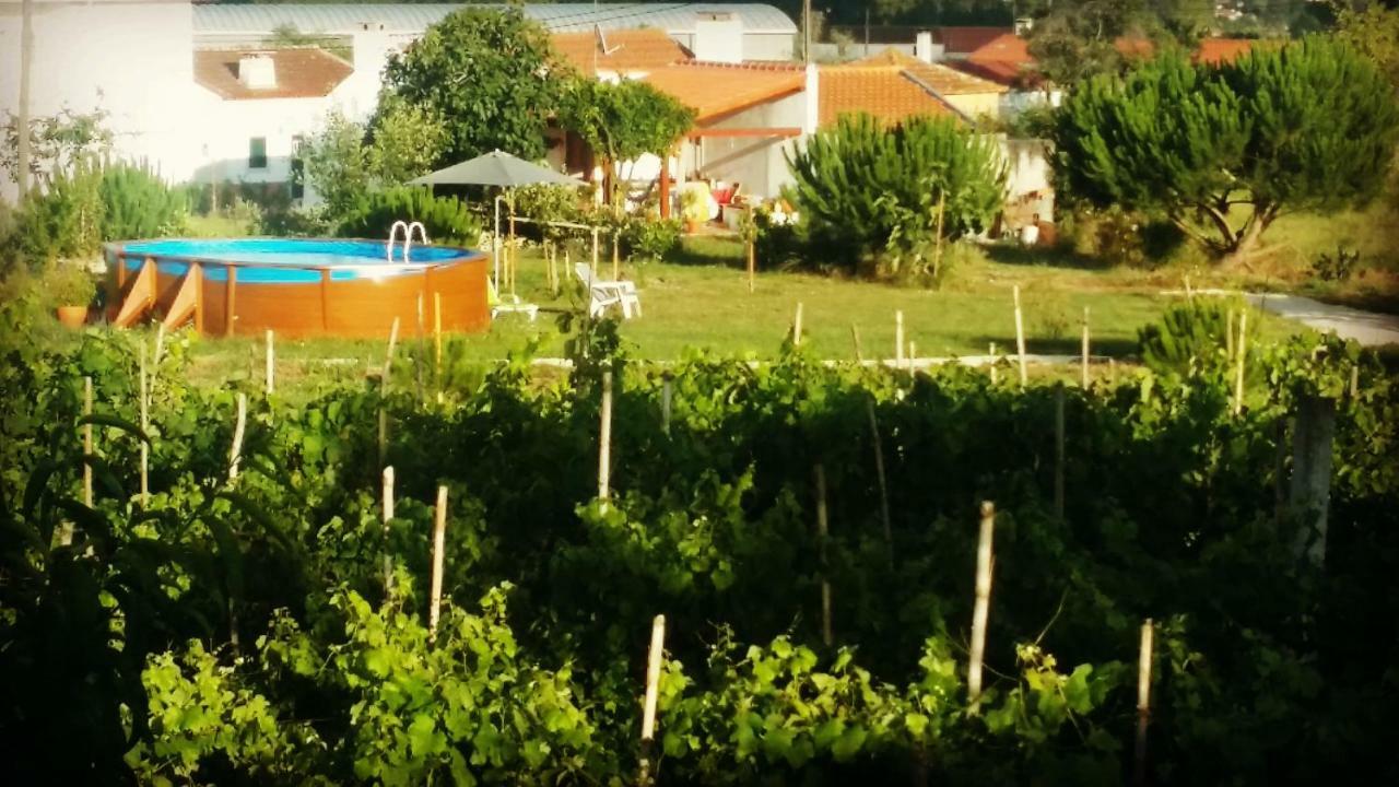 Quinta de Cavaleiros A Quinta Da Estrelinha旅馆 外观 照片